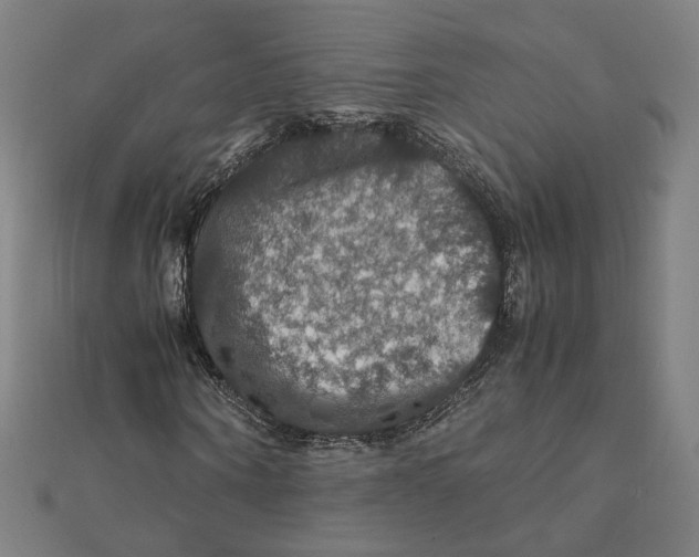 X0000112010866200908311132