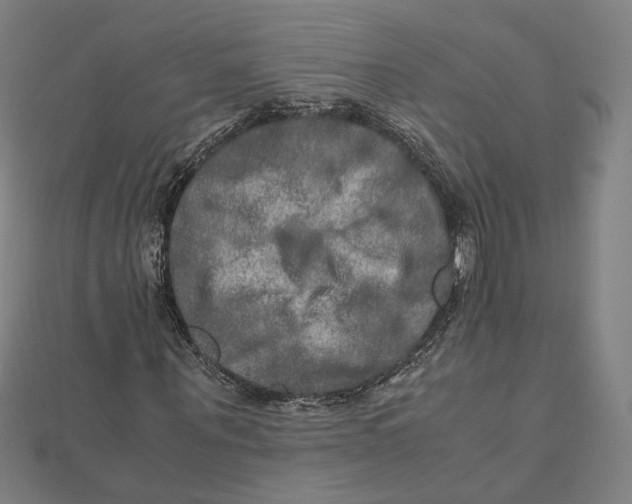 X0000112010867200908311132