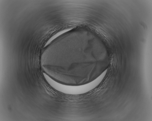 X0000112010868200908311132