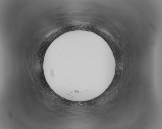 X0000112010869200908311132