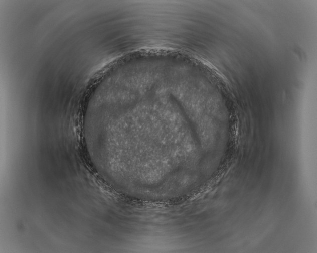 X0000112010870200908311132