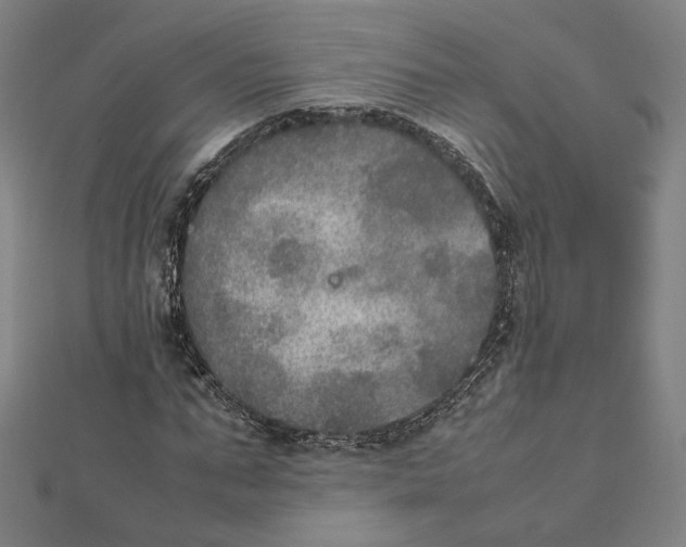 X0000112010871200908311132