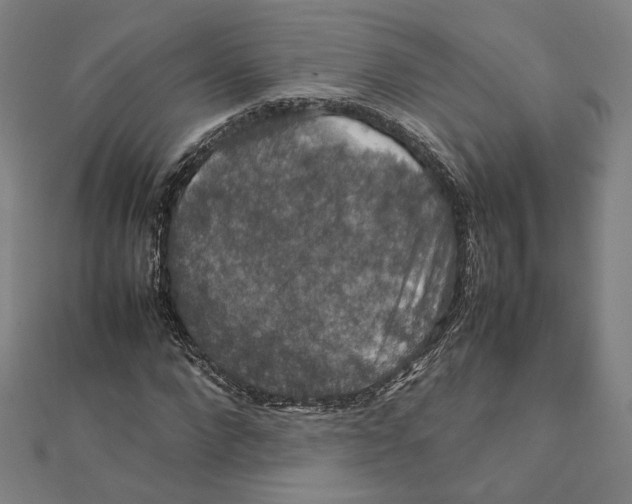 X0000112010872200908311132