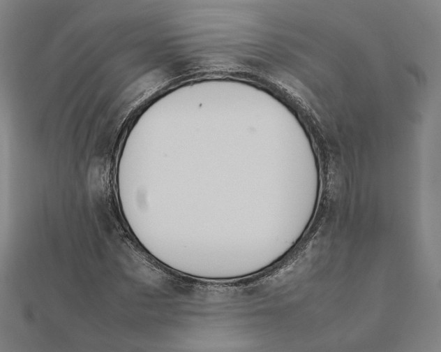 X0000112010873200908311132