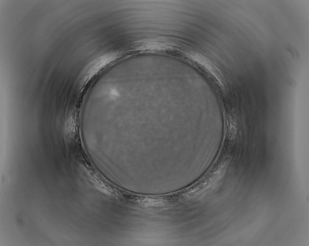X0000112010874200908311132