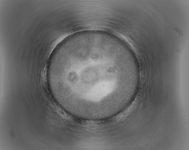 X0000112010875200908311132