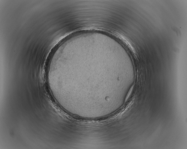 X0000112010876200908311132
