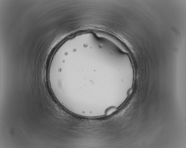 X0000112010877200908311132