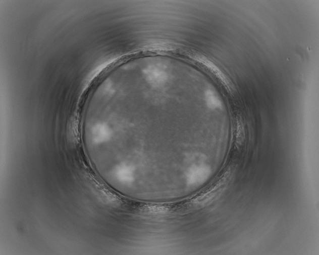 X0000112010878200908311132