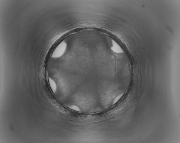X0000112010879200908311132