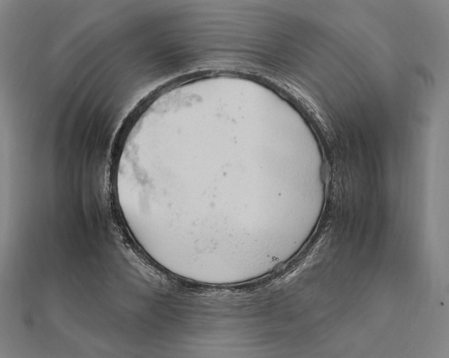 X0000112010880200908311132