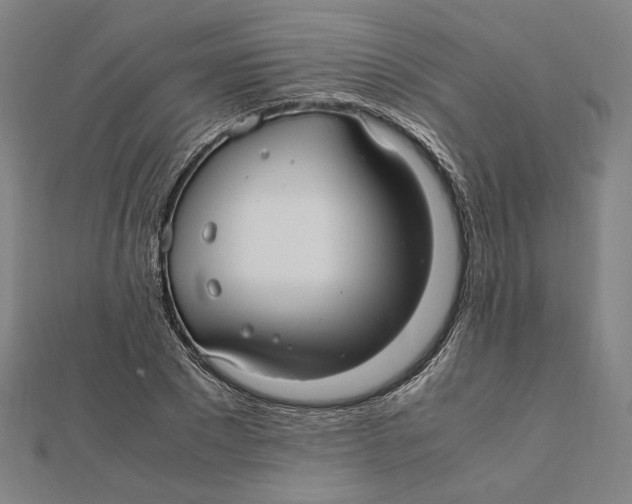 X0000112010881200908311132