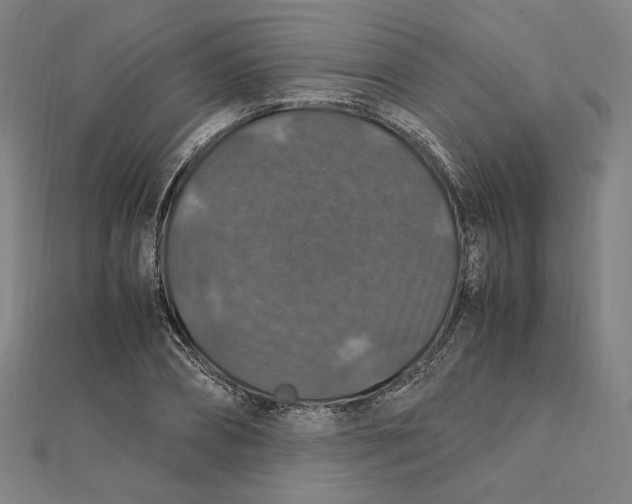 X0000112010882200908311132