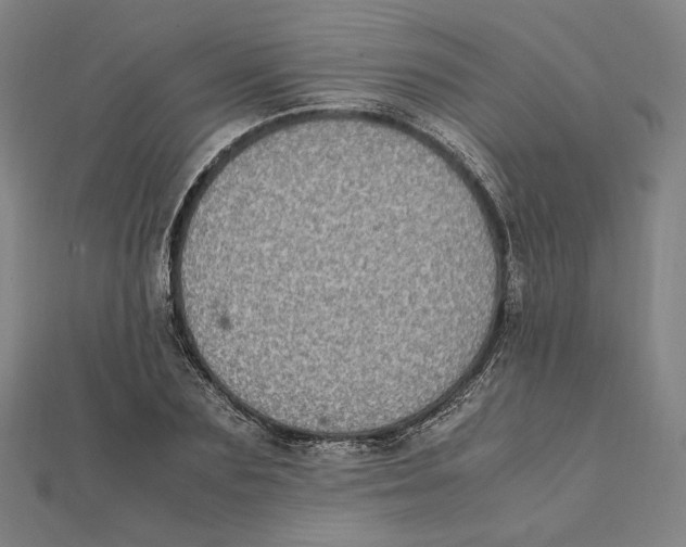 X0000112010883200908311132