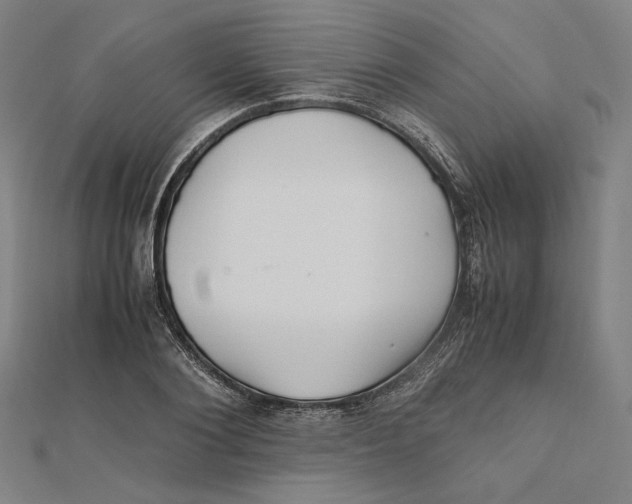 X0000112010884200908311132