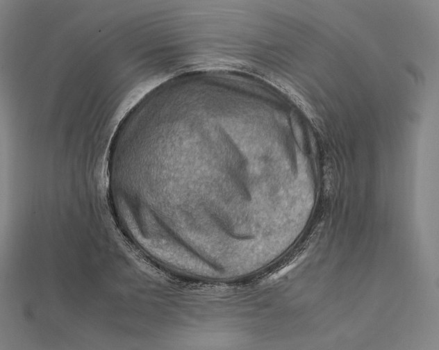 X0000112010885200908311132