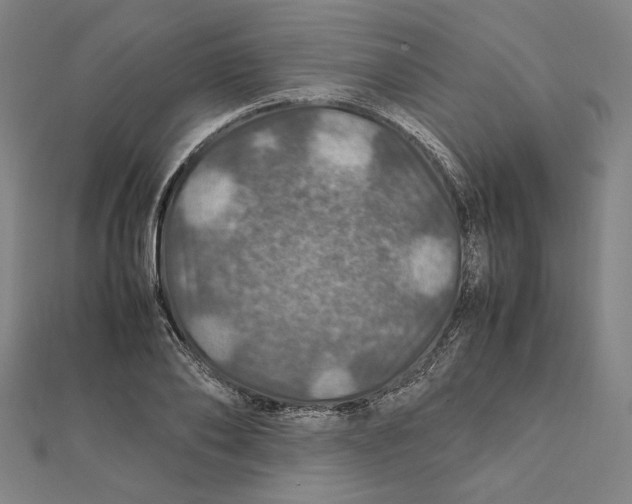 X0000112010886200908311132