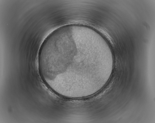 X0000112010888200908311132