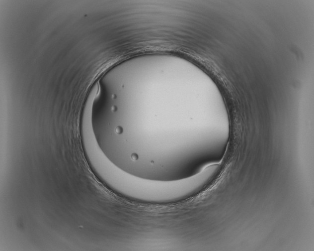X0000112010889200908311132