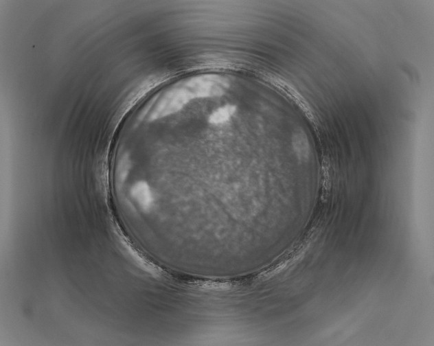 X0000112010890200908311132