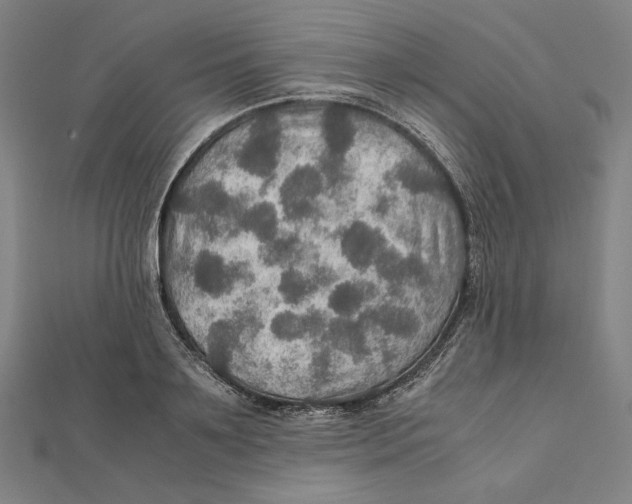X0000112010891200908311132