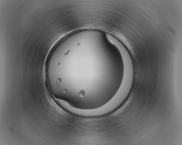 X0000112010892200908311132