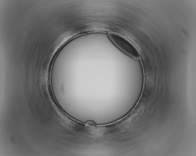 X0000112010893200908311132