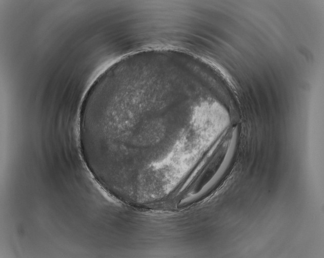 X0000112010894200908311132
