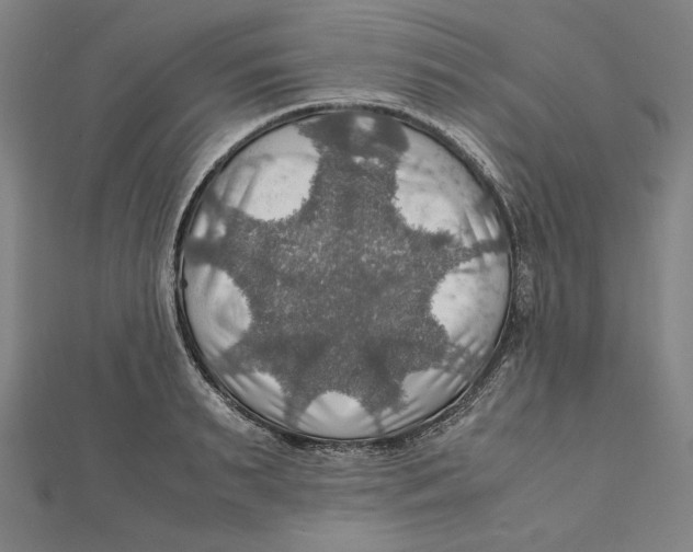 X0000112010895200908311132