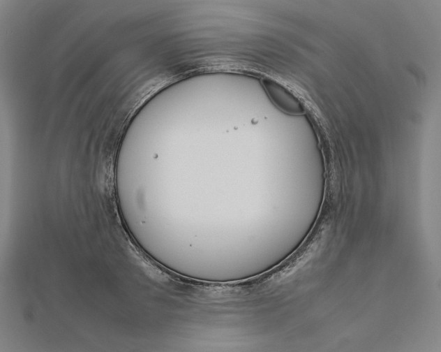X0000112010897200908311132