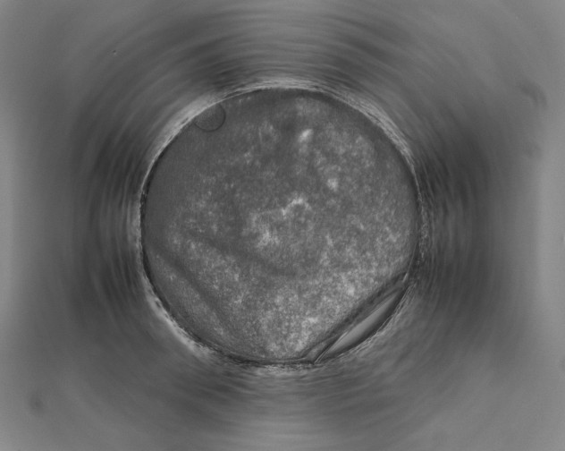 X0000112010898200908311132