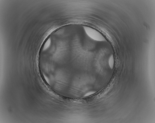 X0000112010899200908311132