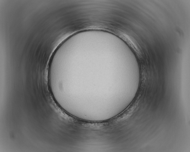 X0000112010900200908311132
