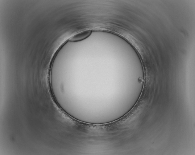 X0000112010901200908311132
