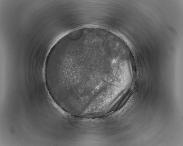 X0000112010902200908311132
