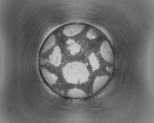 X0000112010903200908311132