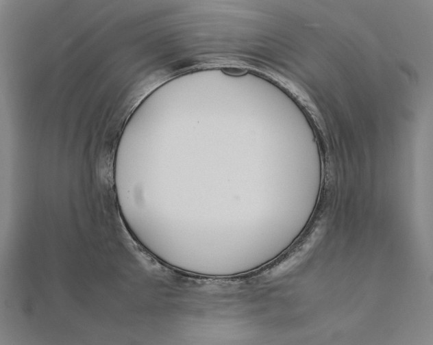 X0000112010905200908311132
