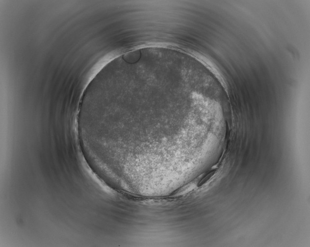 X0000112010906200908311132