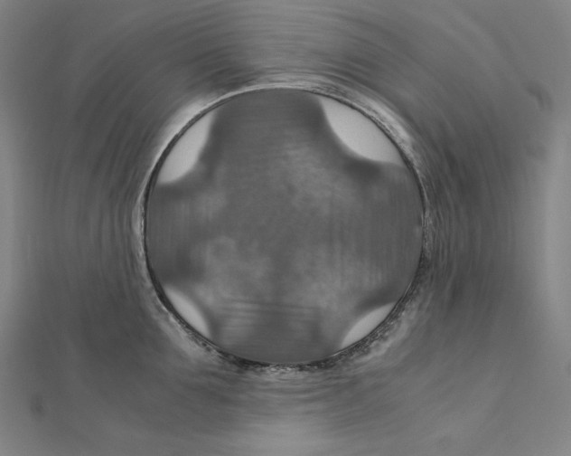 X0000112010907200908311132