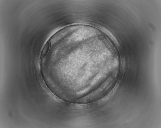 X0000112010908200908311132