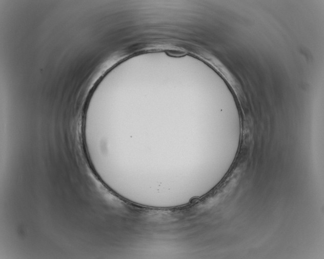 X0000112010909200908311132