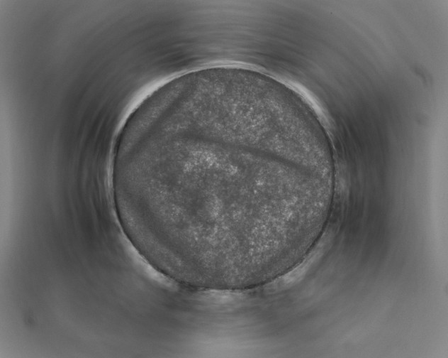 X0000112010910200908311132
