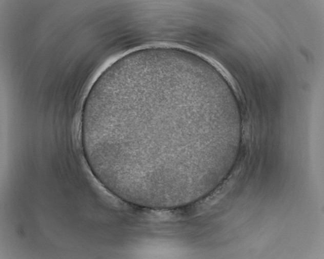 X0000112010911200908311132
