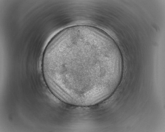 X0000112010912200908311132