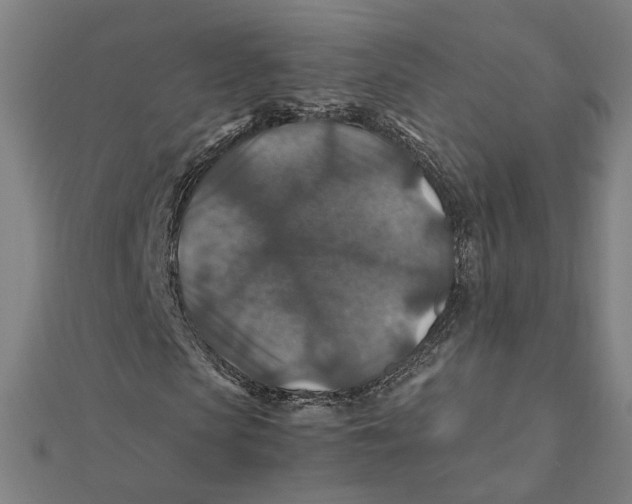 X0000112010913200908311131