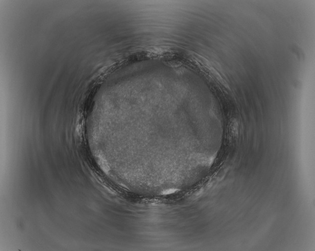 X0000112010914200908311131