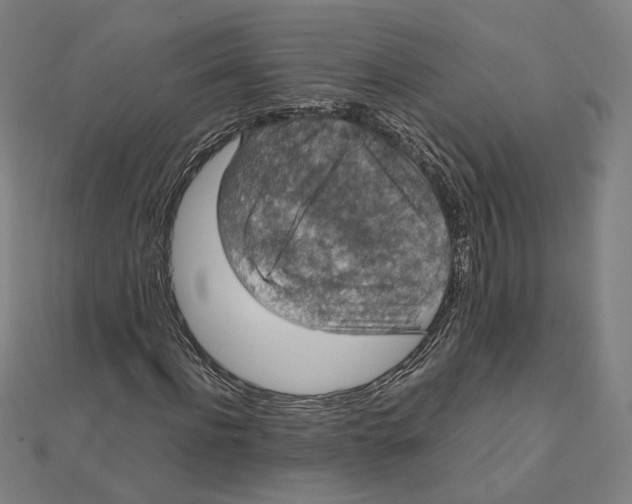 X0000112010916200908311131