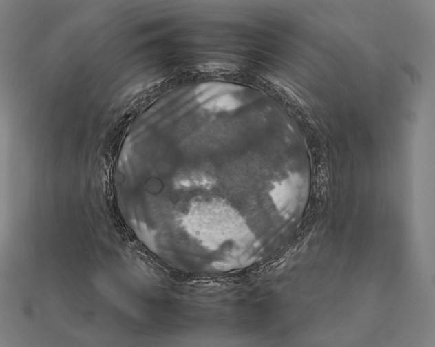 X0000112010917200908311131