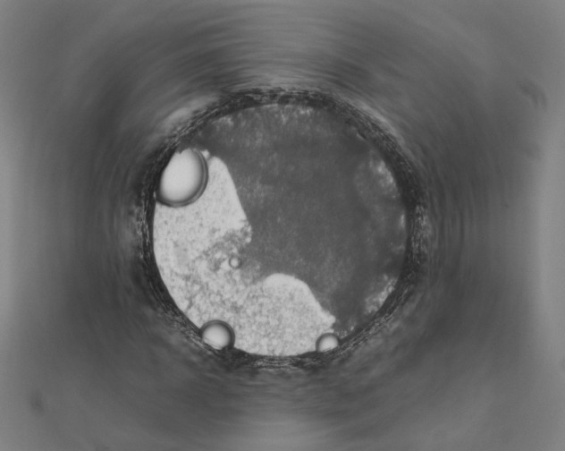X0000112010918200908311131
