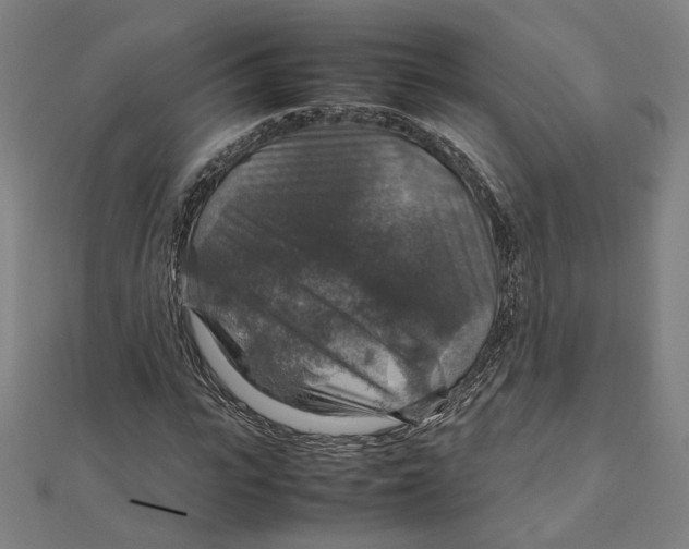 X0000112010919200908311131